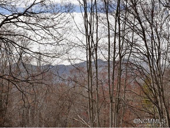 295 Woodland Road Sylva, NC 28779 - Photo 24 of 24