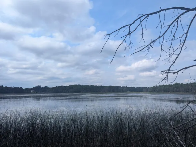 $69,900 | Tbd Dobosenski Road, Sturgeon Lake, MN 55783