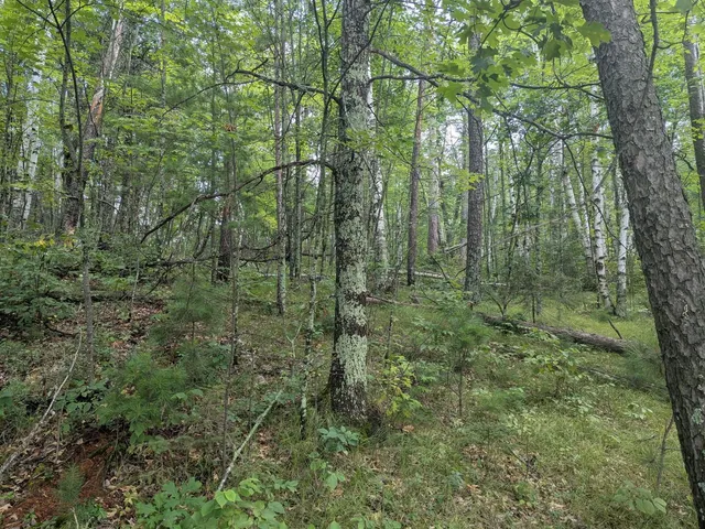 $69,900 | Tbd Dobosenski Road, Sturgeon Lake, MN 55783