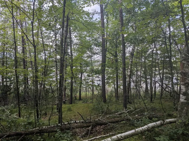 $69,900 | Tbd Dobosenski Road, Sturgeon Lake, MN 55783