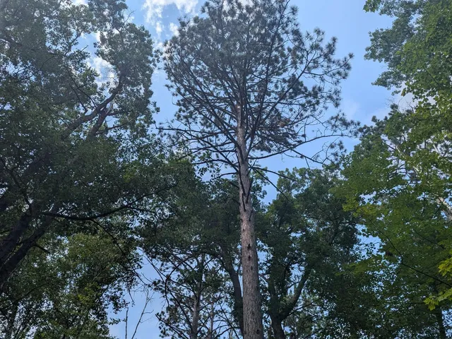 $69,900 | Tbd Dobosenski Road, Sturgeon Lake, MN 55783