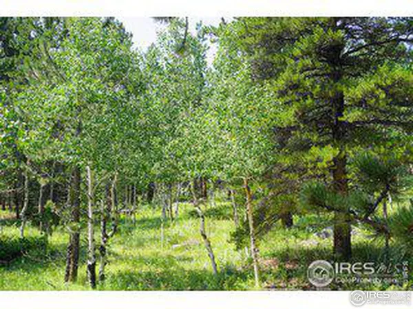 $264,000 | 246 Tahosa Pk S Road, Allenspark, CO 80510