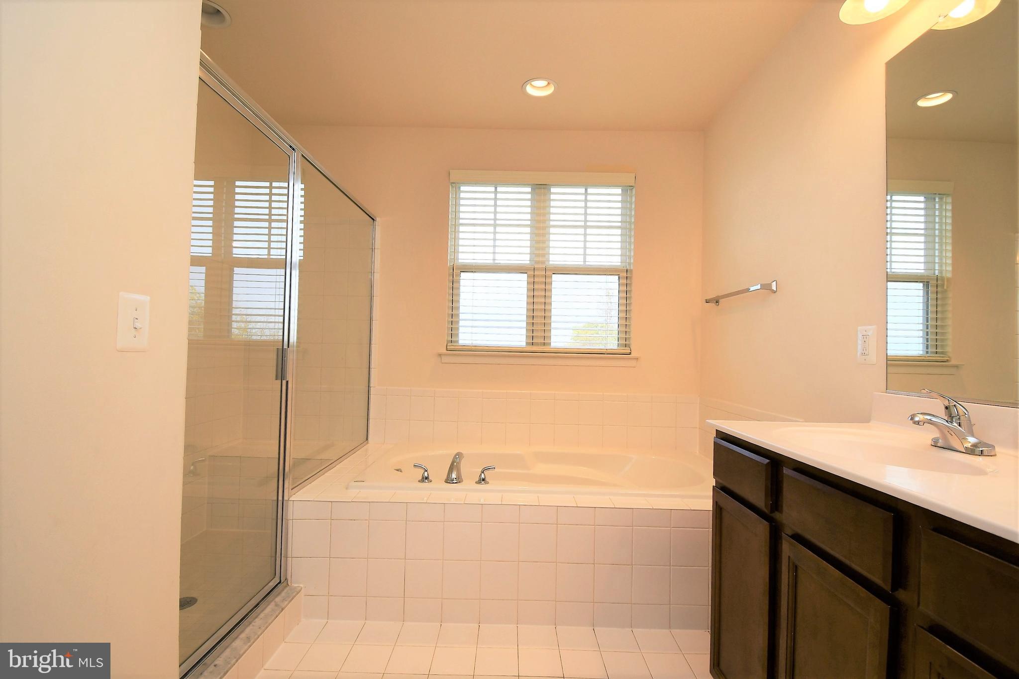 102 Splendor Garden Way Stephenson, VA 22656 - Photo 4 of 27 Owners Suite