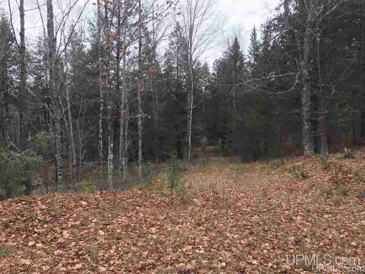 Tbd Off River Road, Unit 2 Hermansville, MI 49847 - Photo 29 of 34