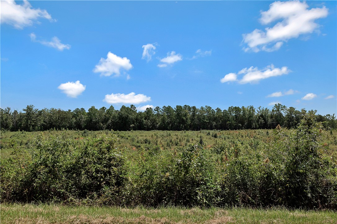 0 Brown Road Starr, SC 29684 - Photo 8 of 12 A tranquil, undeveloped expanse offers natural beauty and vast potential.