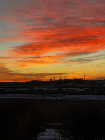 $735,000 | 37358 385th Avenue, Sauk Centre, MN 56378