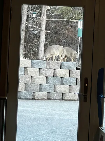 $735,000 | 37358 385th Avenue, Sauk Centre, MN 56378