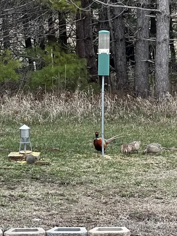 $735,000 | 37358 385th Avenue, Sauk Centre, MN 56378