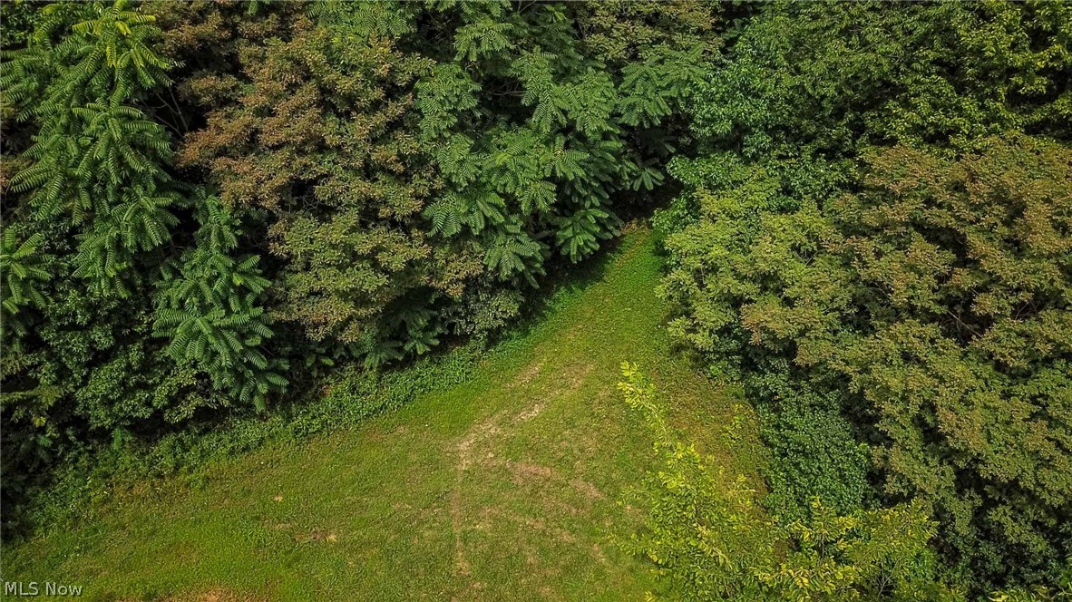 Dundee Wilmot Rd Rd Beach Beach City, OH 44608 - Photo 33 of 35 Gallery Image 33