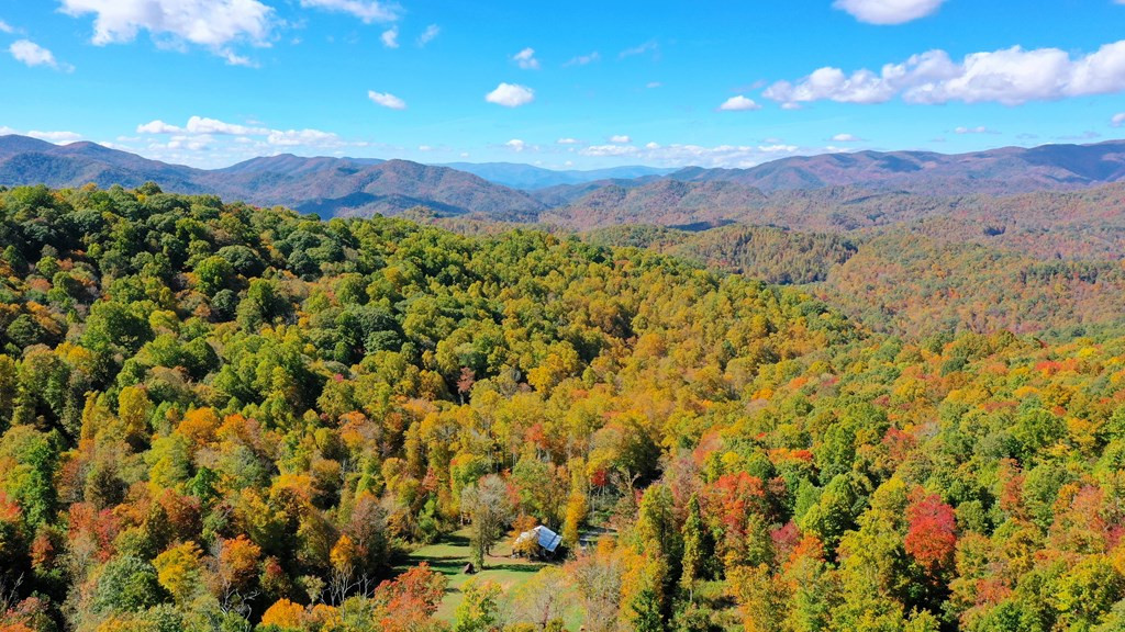 575 Vestal Cochran Road Topton, NC 28781 - Photo 39 of 53