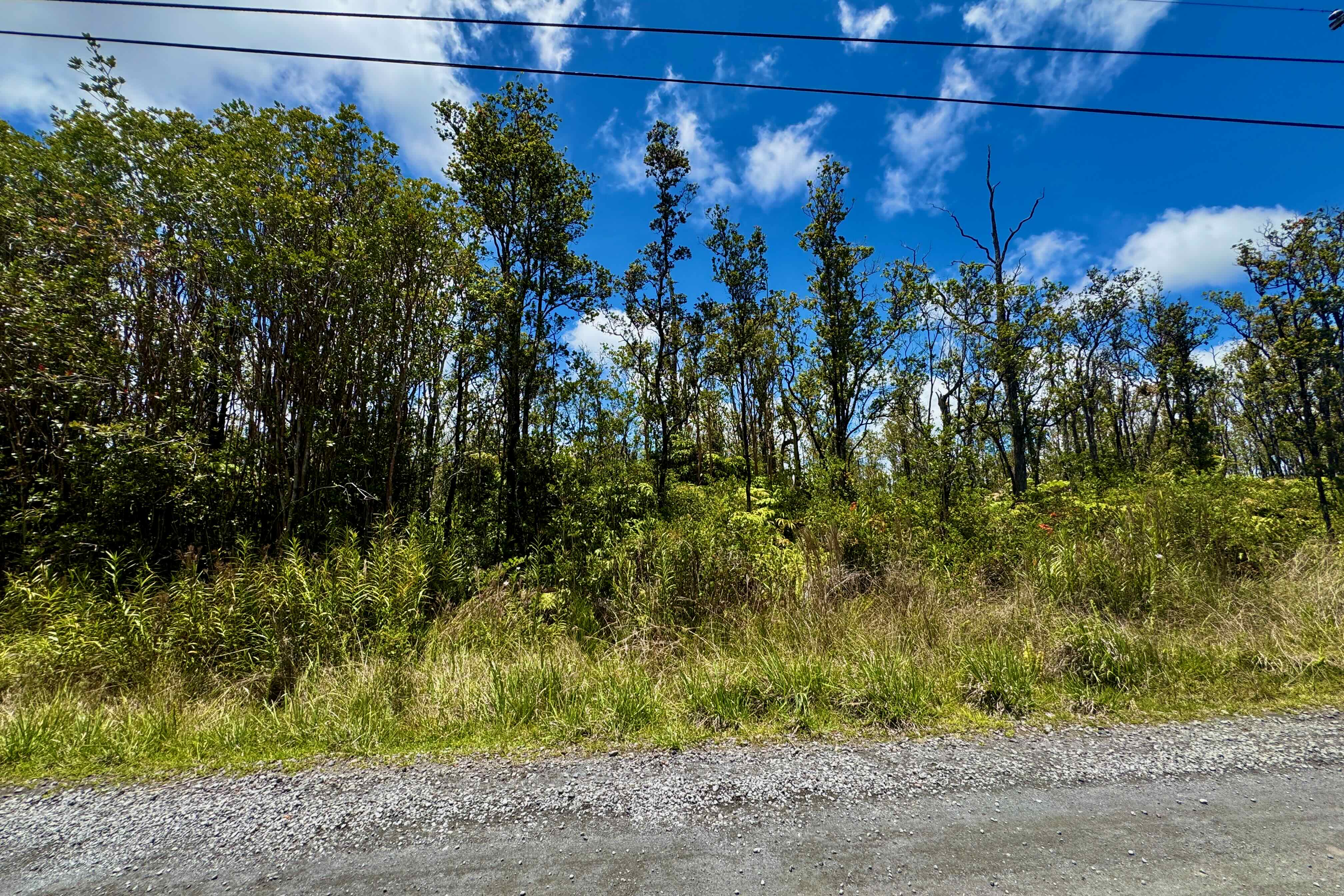 57 Makoa Road Mountain View, HI 96771 - Photo 6 of 11 a view of a bunch of flowers