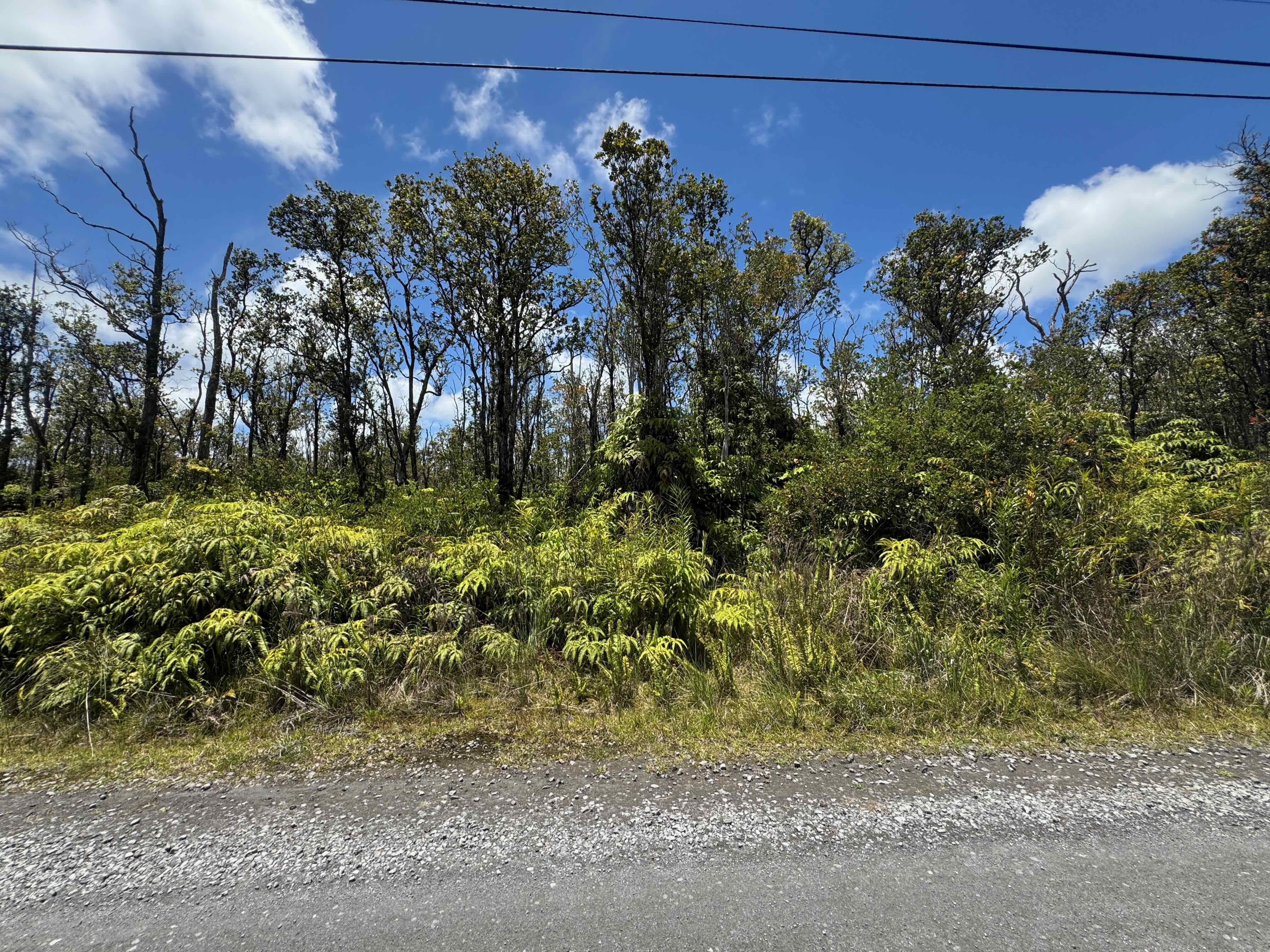 57 Makoa Road Mountain View, HI 96771 - Photo 7 of 11 a view of a pathway with a park