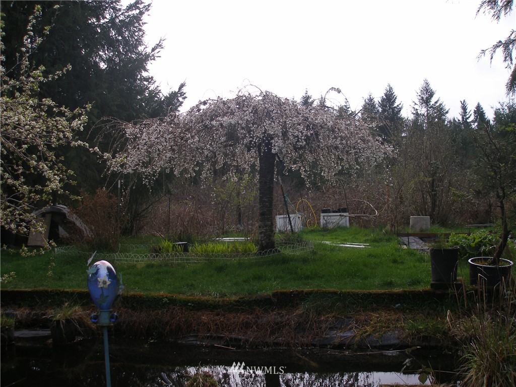 11511 Clark Road Southeast Yelm, WA 98597 - Photo 1 of 17 Gallery Image 1