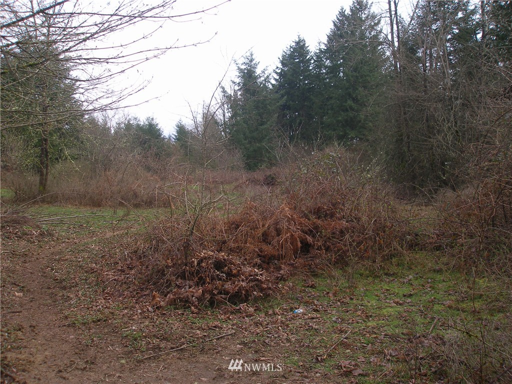 11511 Clark Road Southeast Yelm, WA 98597 - Photo 16 of 17 Gallery Image 16