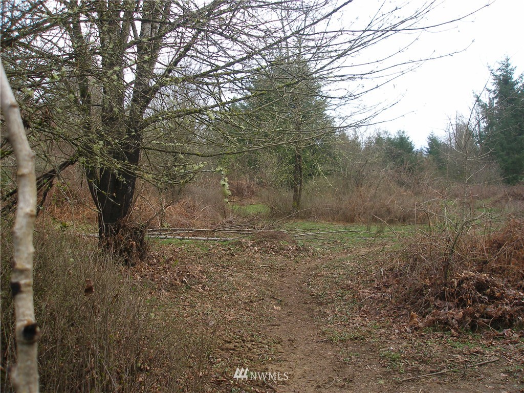 11511 Clark Road Southeast Yelm, WA 98597 - Photo 17 of 17 Gallery Image 17