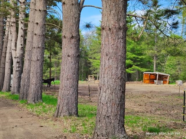 6230 Shellenbarger Road Hale, MI 48739 - Photo 43 of 46