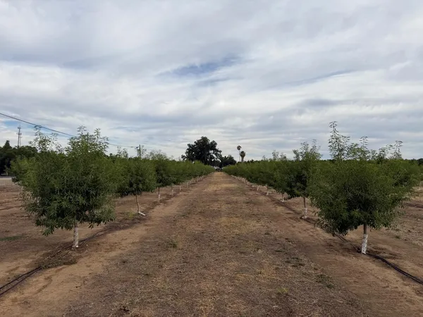 $350,000 | 0 Williston Road, Live Oak, CA 95953