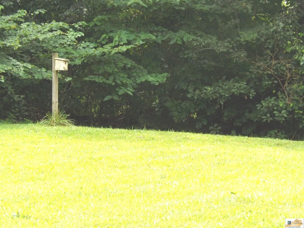 1231 Steenbergen Road Scottsville, KY 42164 - Photo 2 of 22 Gallery Image 2