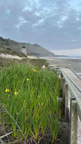 $2,300,000 | 40-42 Arenal Avenue, Stinson Beach, CA 94970