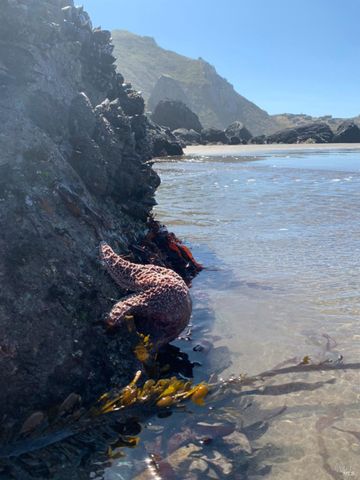 $2,300,000 | 40-42 Arenal Avenue, Stinson Beach, CA 94970