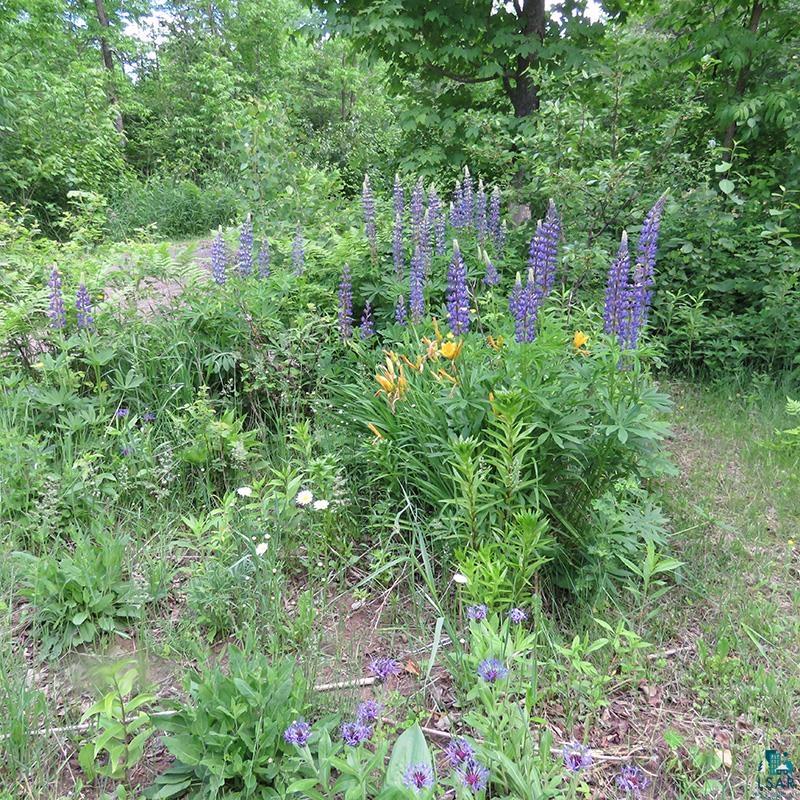 6975 Cramer Road Finland, MN 55603 - Photo 61 of 62