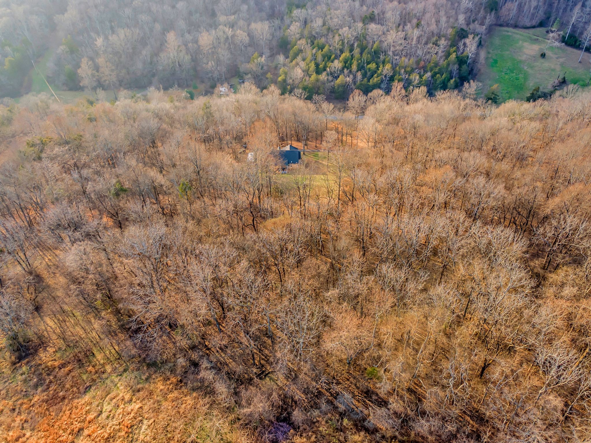 1210 Buckeye Road Fayetteville, TN 37334 - Photo 45 of 56