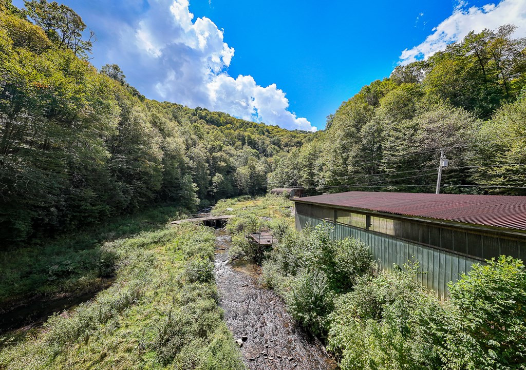 9765 Little Snowbird Road Robbinsville, NC 28771 - Photo 26 of 34