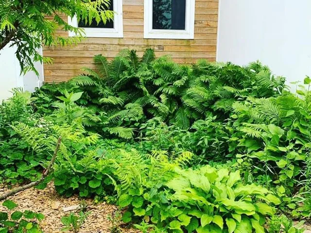 $900,000 | 2734 Galena Place Southwest, Rochester, MN 55902