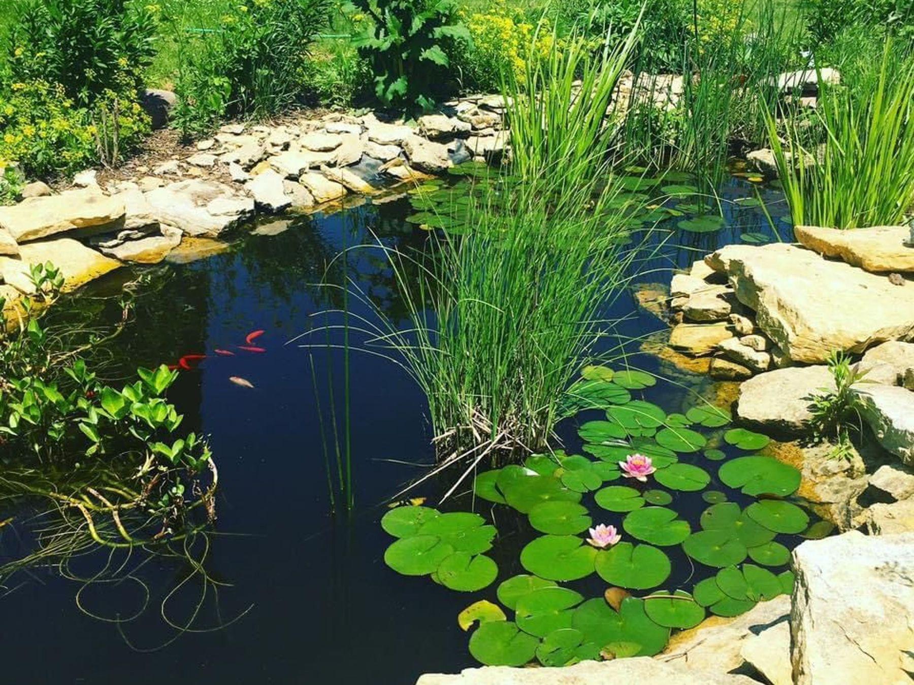 2734 Galena Place Southwest Rochester, MN 55902 - Photo 51 of 57