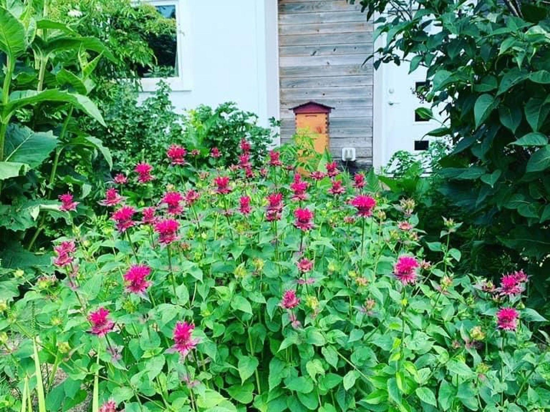 2734 Galena Place Southwest Rochester, MN 55902 - Photo 52 of 57