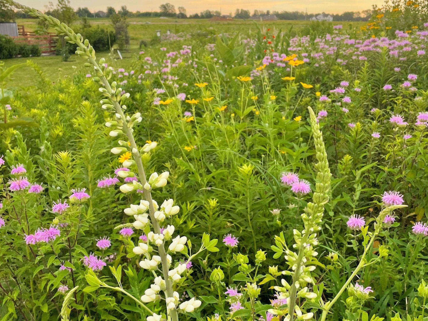 2734 Galena Place Southwest Rochester, MN 55902 - Photo 53 of 57