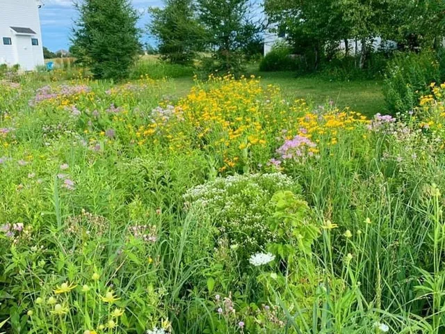 $900,000 | 2734 Galena Place Southwest, Rochester, MN 55902