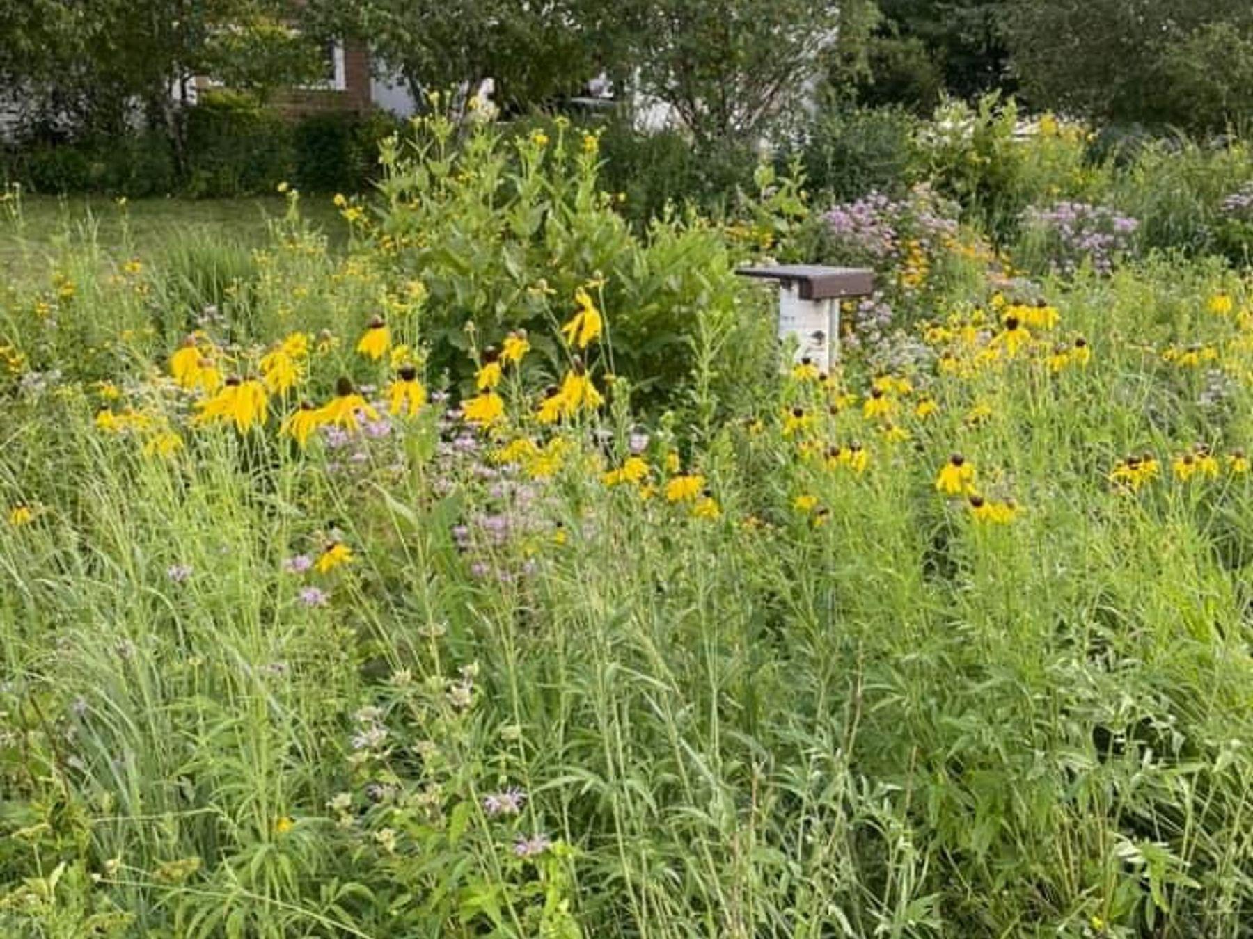 2734 Galena Place Southwest Rochester, MN 55902 - Photo 55 of 57