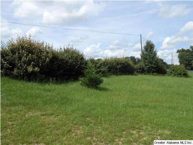 33118 Highway 79 Cleveland, AL 35049 - Photo 11 of 14