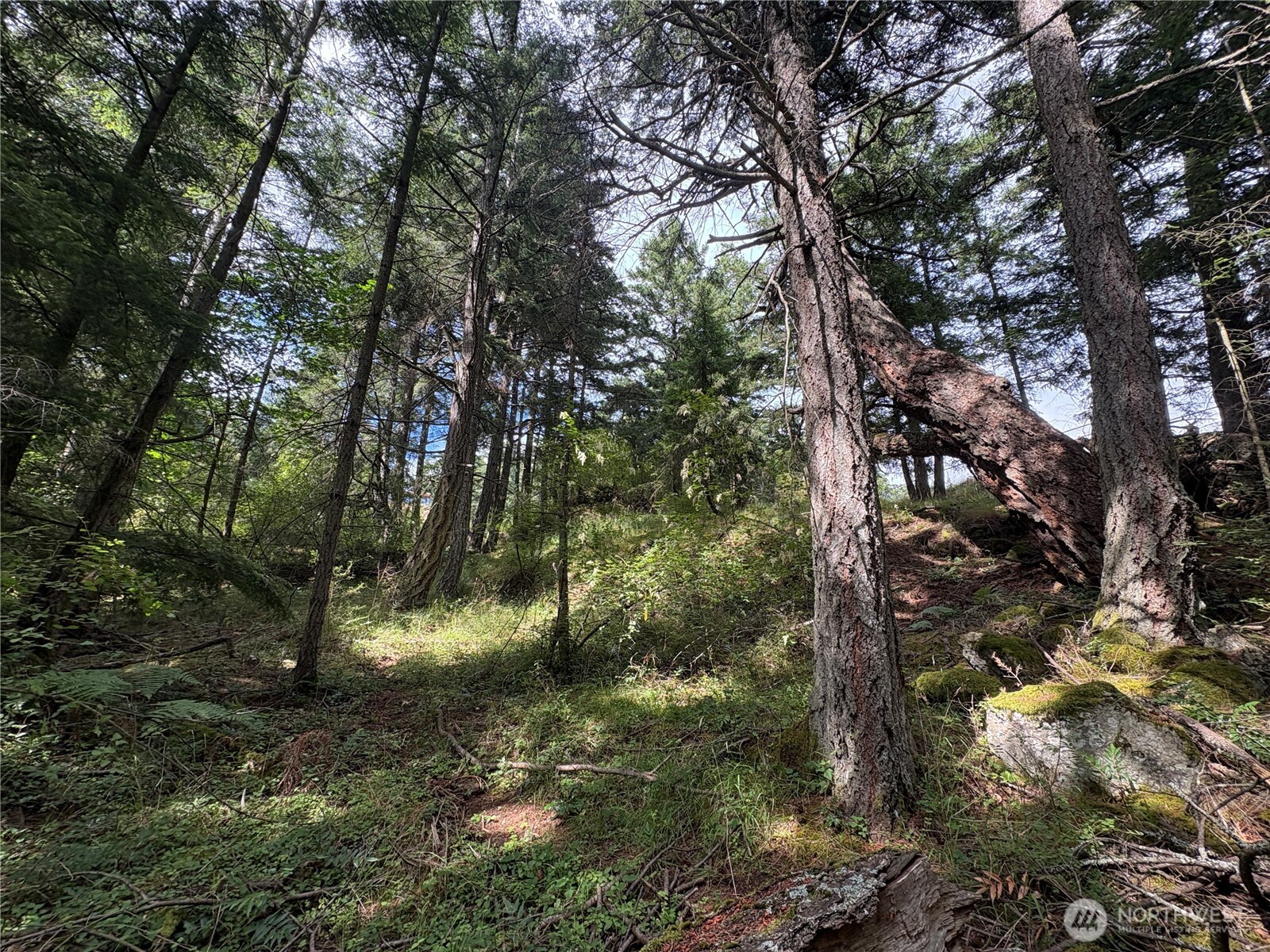 14 Rosario Road Orcas Island, WA 98245 - Photo 21 of 39
