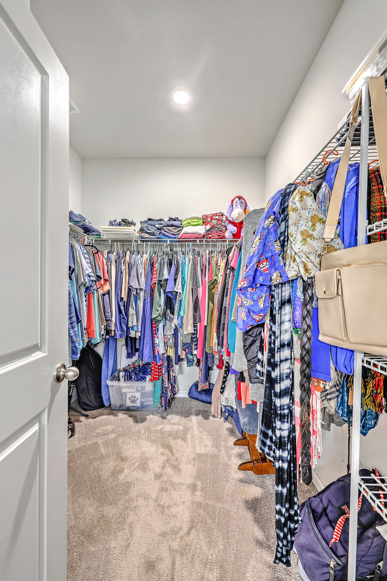 9662 Brandishing Road Ladson, SC 29456 - Photo 17 of 38 Primary Walk-in Closet