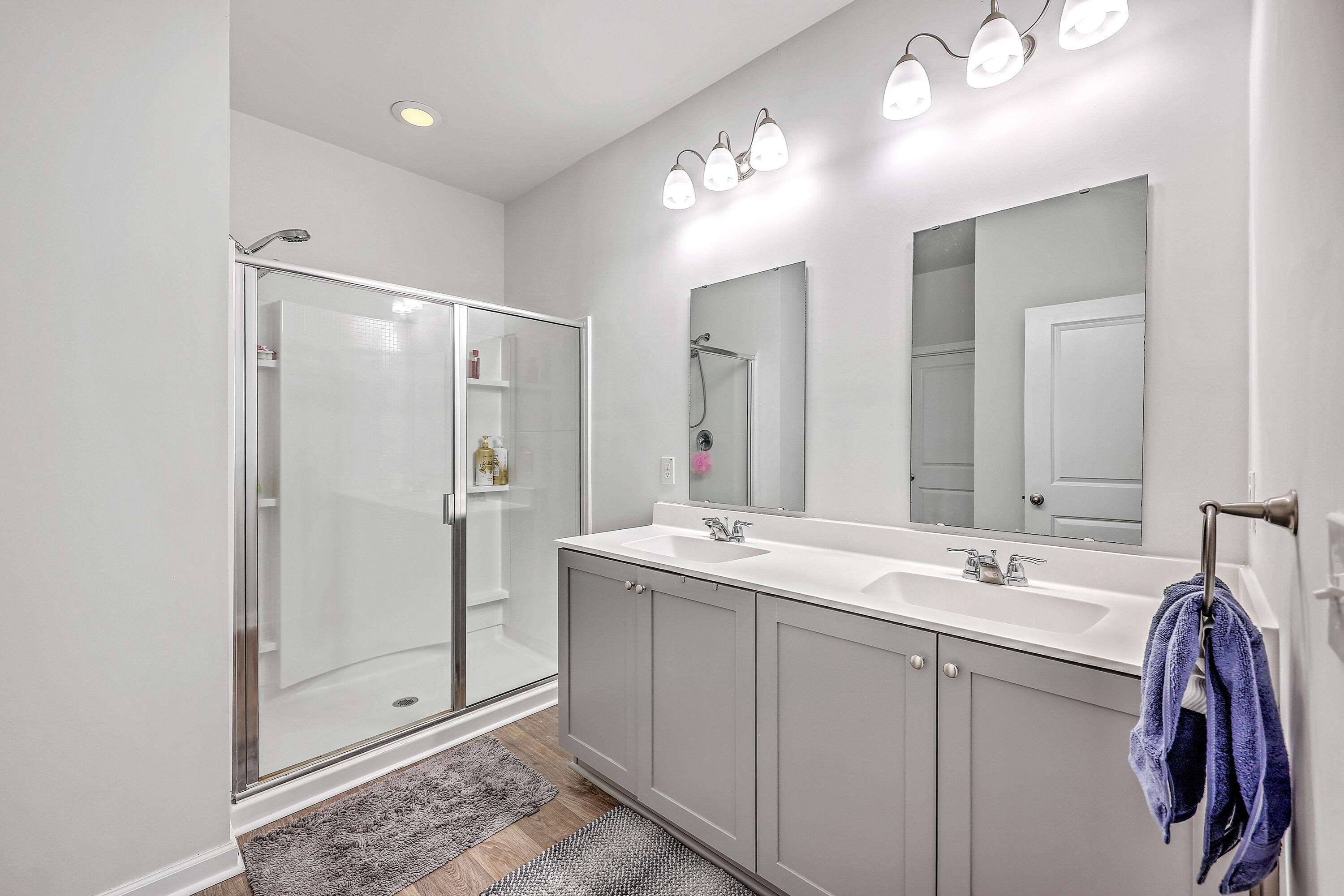 9662 Brandishing Road Ladson, SC 29456 - Photo 18 of 38 Primary Bathroom