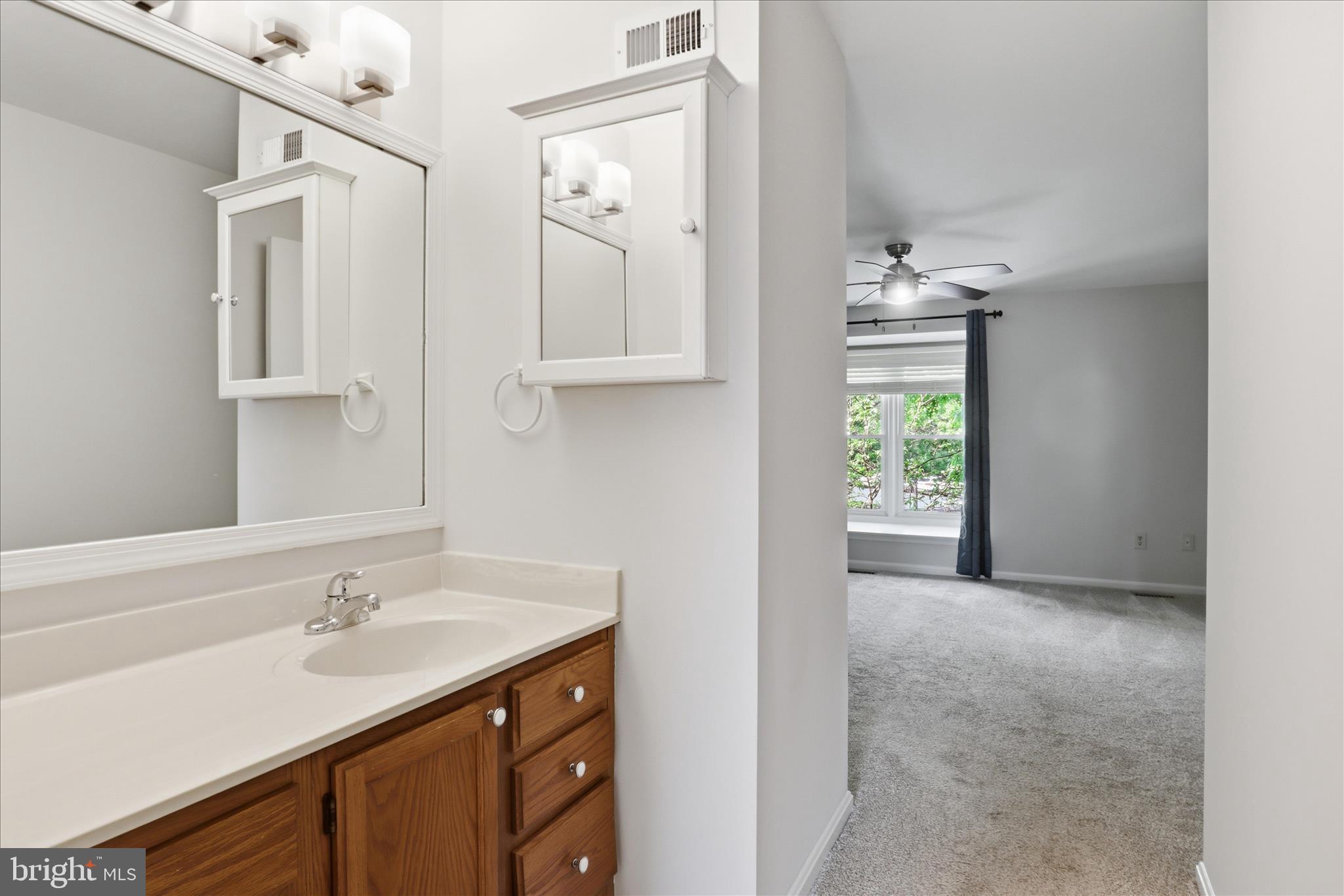 1773 Whisperhill Drive Reston, VA 20194 - Photo 25 of 51 a bathroom with a sink vanity and a mirror