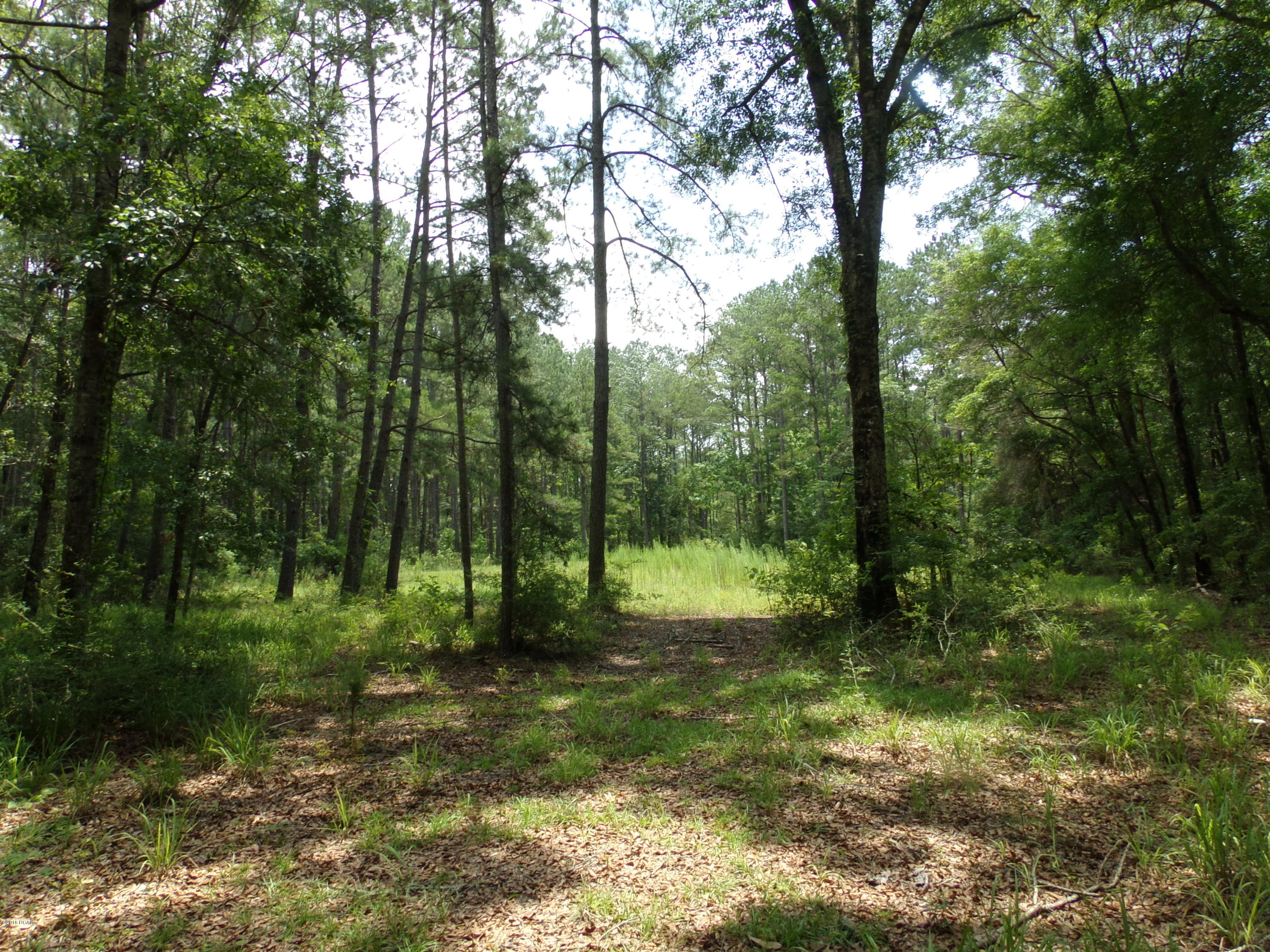 5254 Choctaw Road Vernon, FL 32462 - Photo 3 of 6 Gallery Image 3