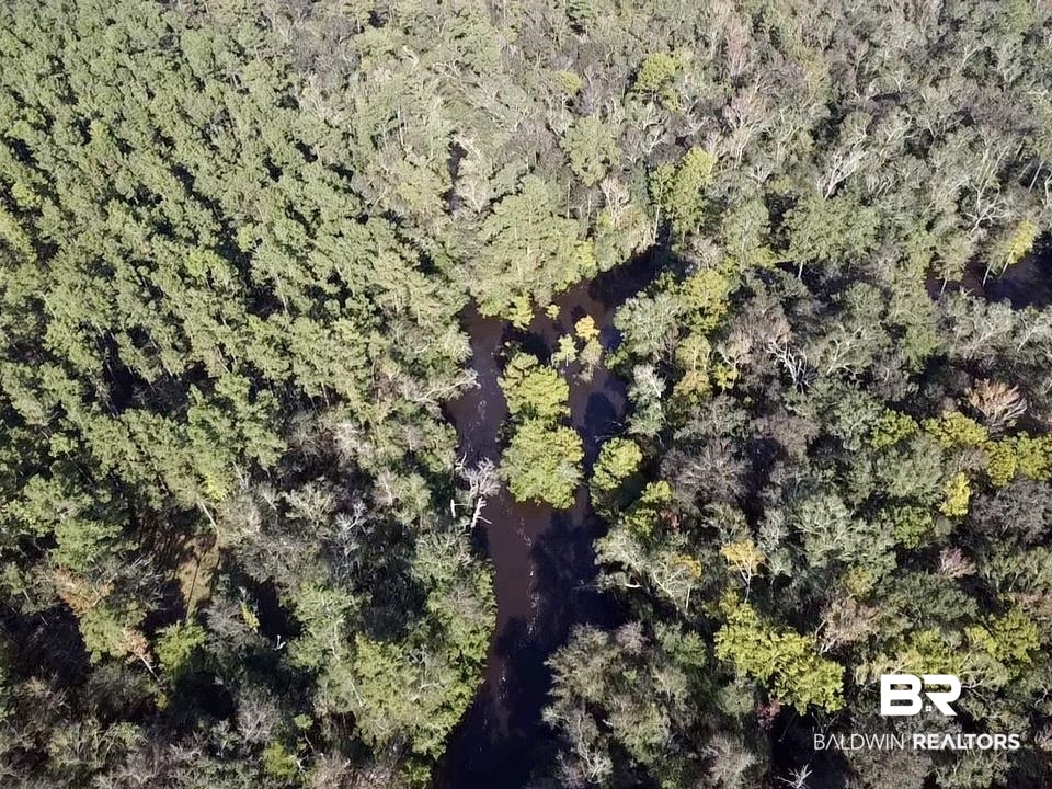 0 Country Road Vinegar Bend, AL 36584 - Photo 31 of 46