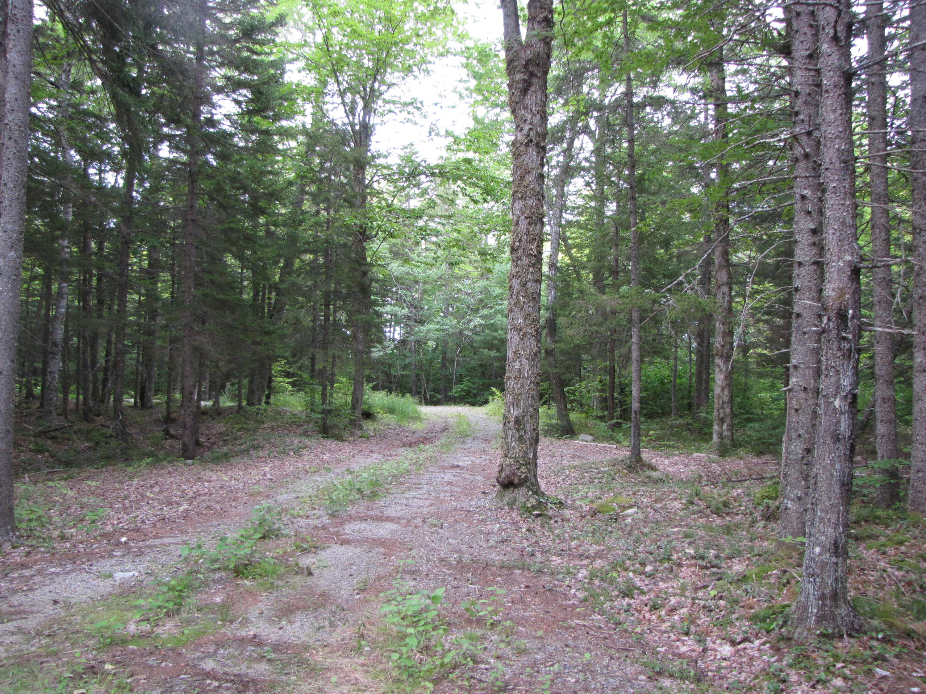 03 Plan Cherryfield, ME 04622 - Photo 1 of 36 IMG_0426