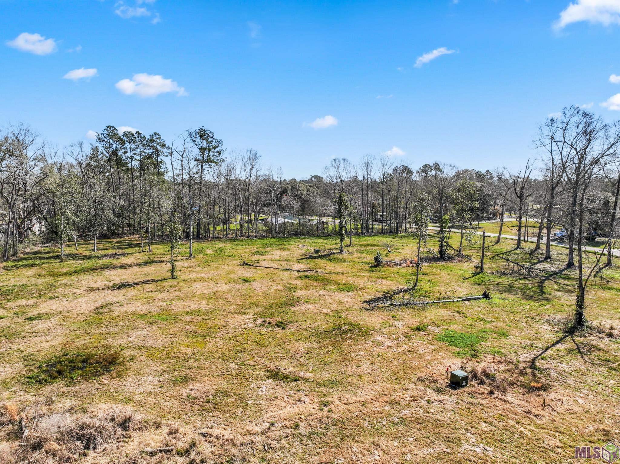 6963 Chandler Bluff Road Denham Springs, LA 70706 - Photo 8 of 11
