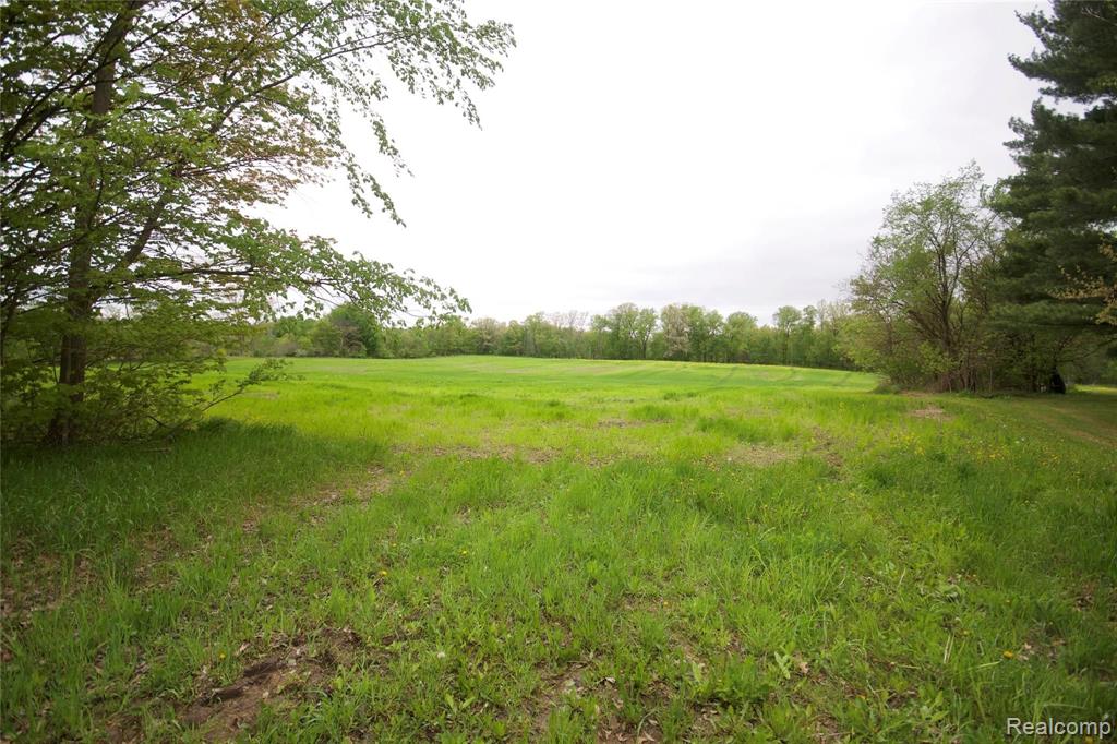 0 Iosco Road Webberville, MI 48836 - Photo 3 of 9