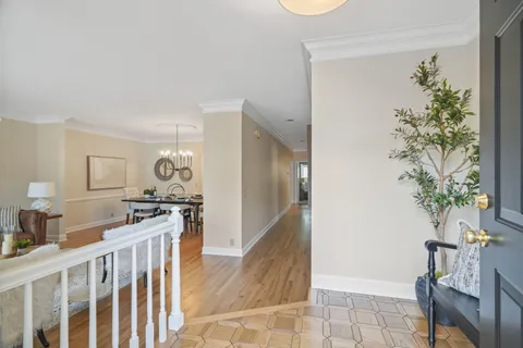 a kitchen with a potted plant in front of it