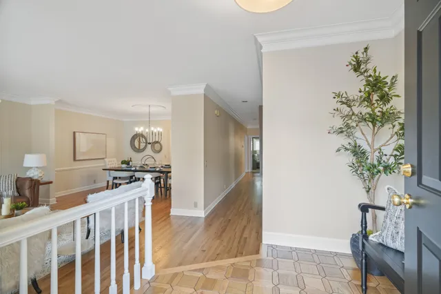 a kitchen with a potted plant in front of it