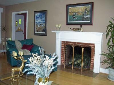 3618 Pinevale Road Roanoke, VA 24018 - Photo 13 of 14 Living Room Fireplace