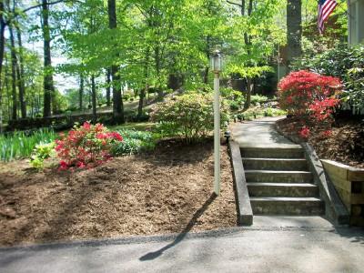 3618 Pinevale Road Roanoke, VA 24018 - Photo 3 of 14 Front yard