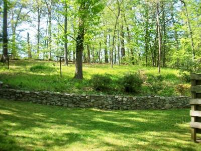 3618 Pinevale Road Roanoke, VA 24018 - Photo 7 of 14 Backyard