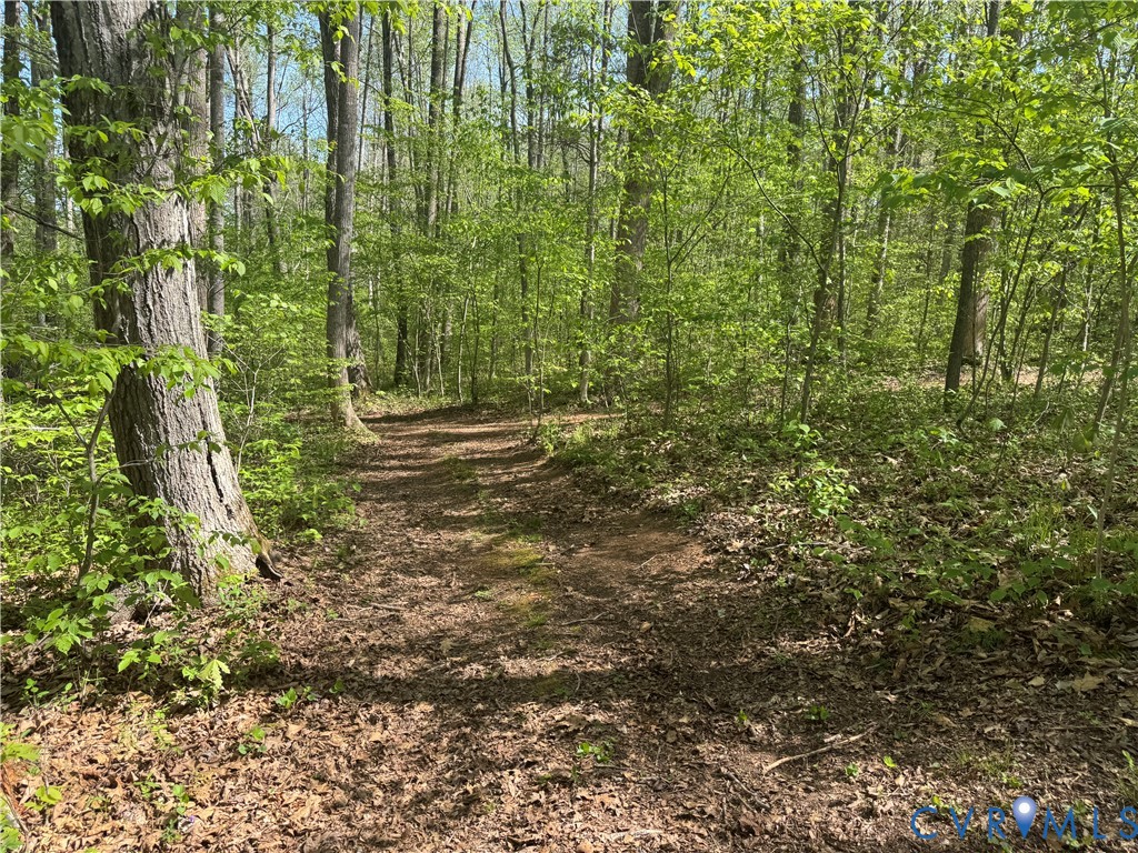 14430 Overlook Ridge Lane Beaverdam, VA 23015 - Photo 70 of 71 Trails (see diagram in picture #72)