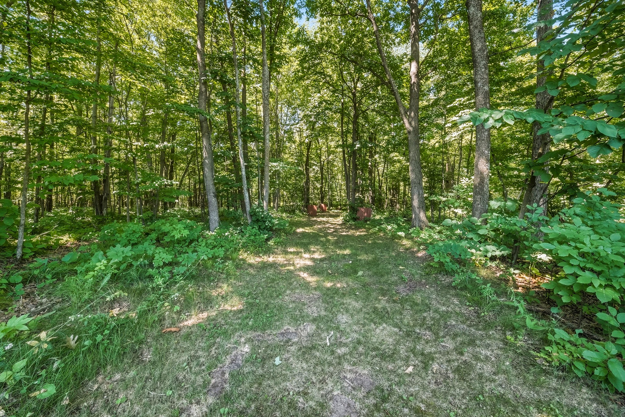 W11680 Jenness Road Bruce, WI 54819 - Photo 17 of 51